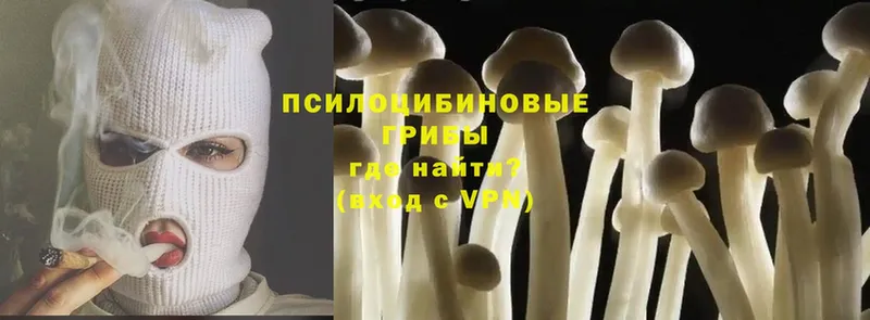 Псилоцибиновые грибы Magic Shrooms  Красноуфимск 